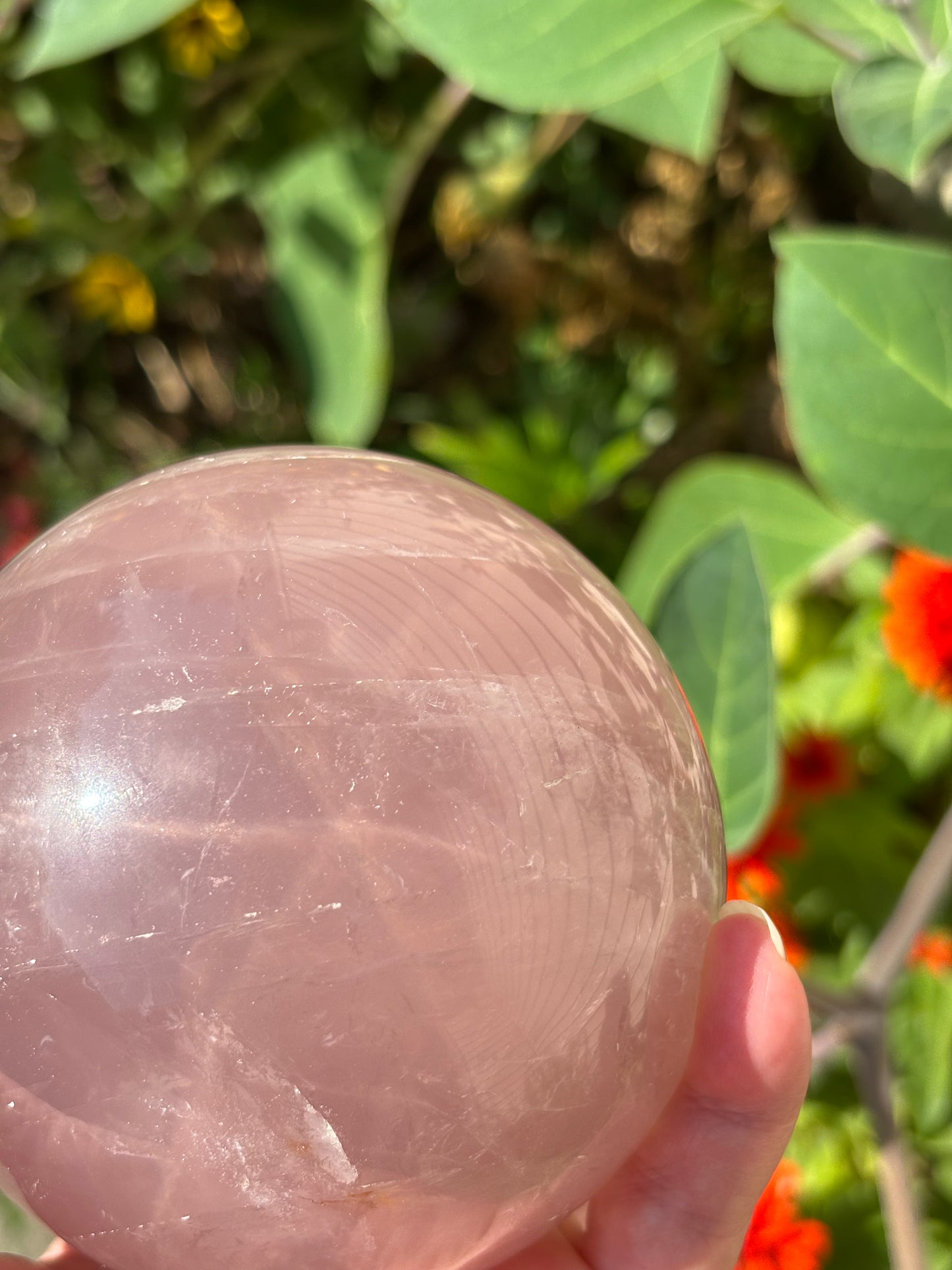 STAR Lavender Rose Quartz Sphere - Madagascar