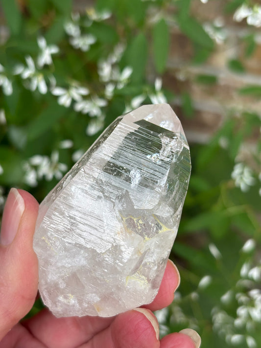 Columbian Lemurian Quartz point