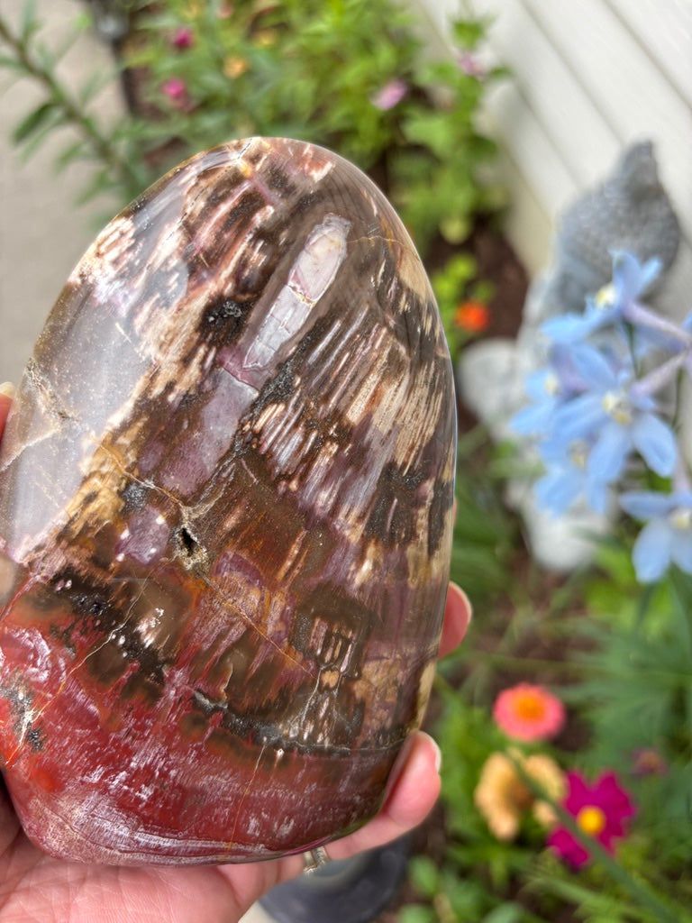 Petrified Wood - Free Form - Madagascar