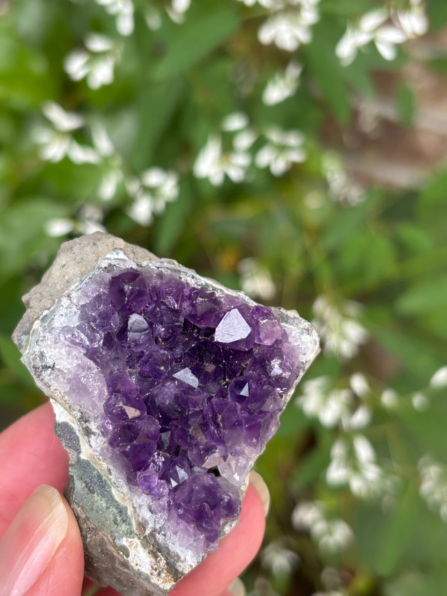Amethyst Cluster