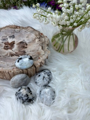 Rainbow Moonstone - Palm Stone | India