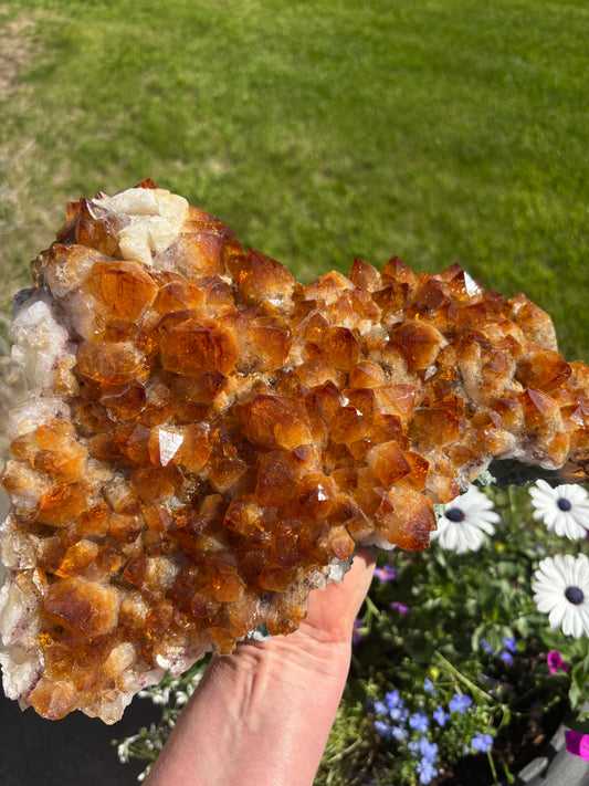 Golden Amethyst - Citrine Cluster - Brazil