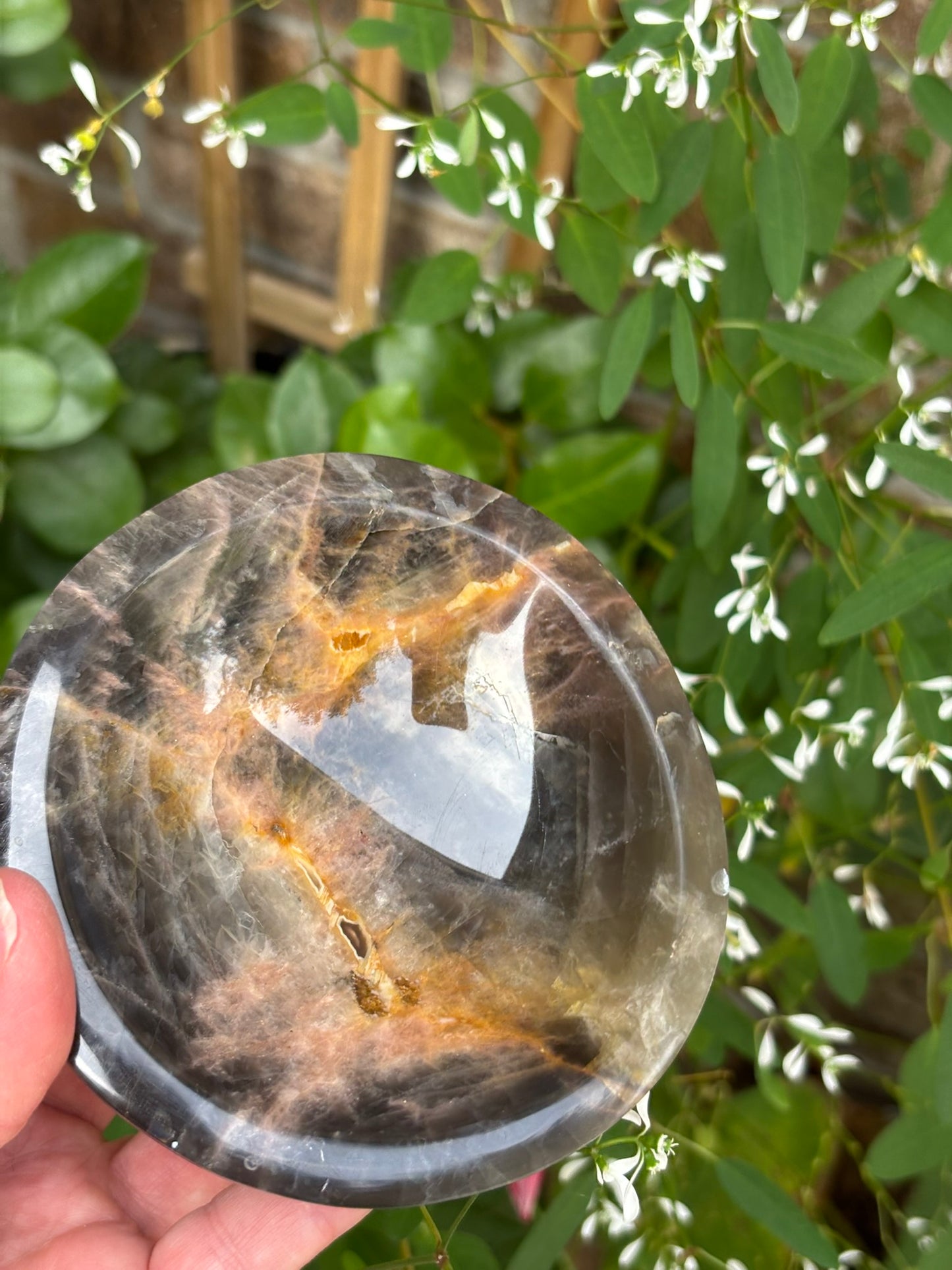 Black Moonstone - Bowl