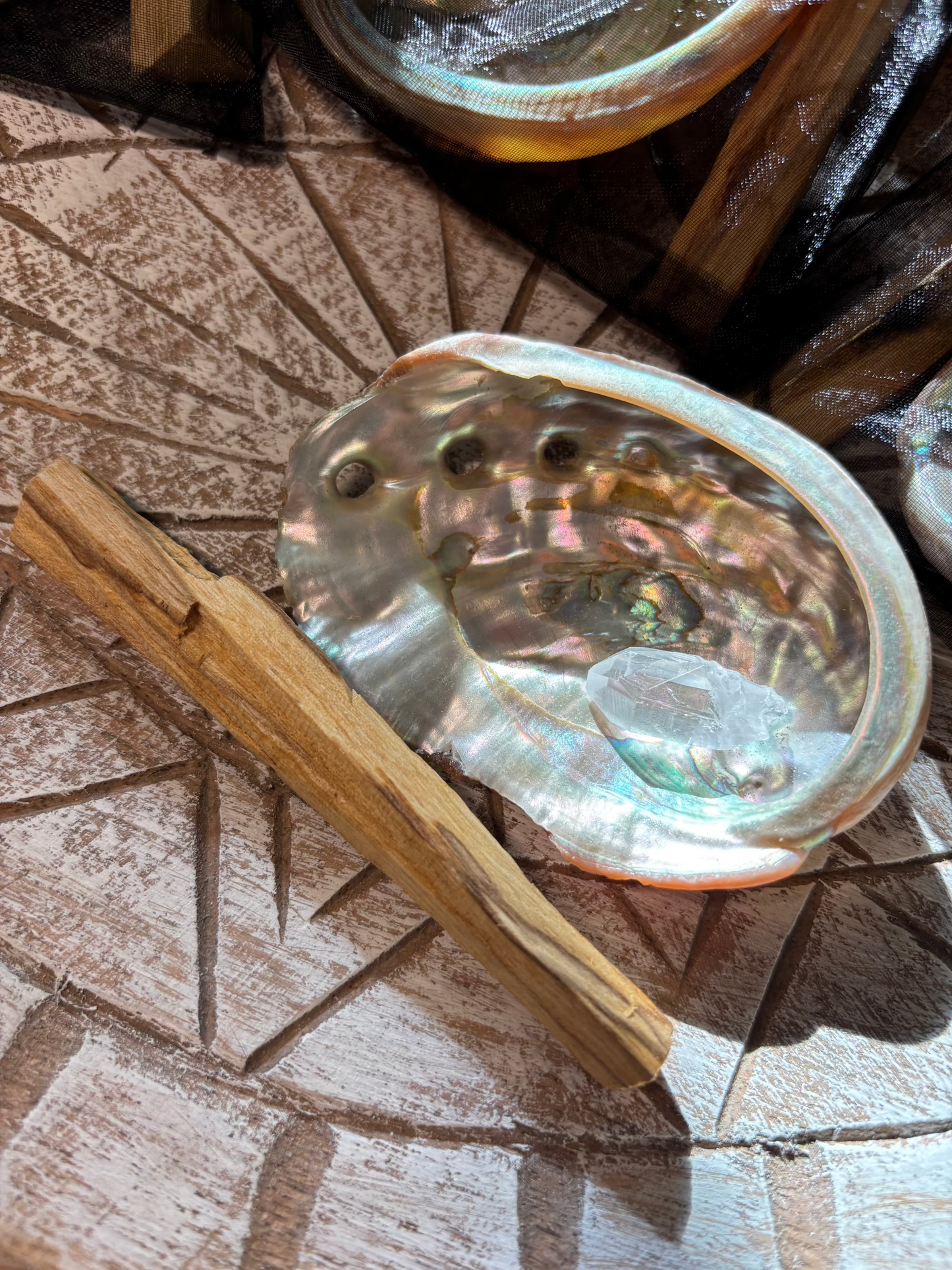 Mini Abalone Smudge Kit