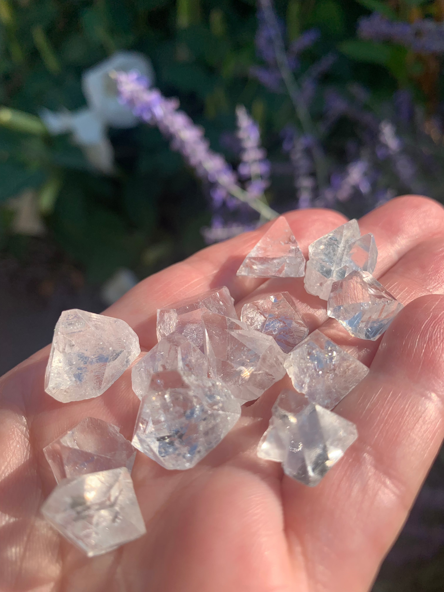Apophyllite Points Zeolite SMALL | Bundle of 4