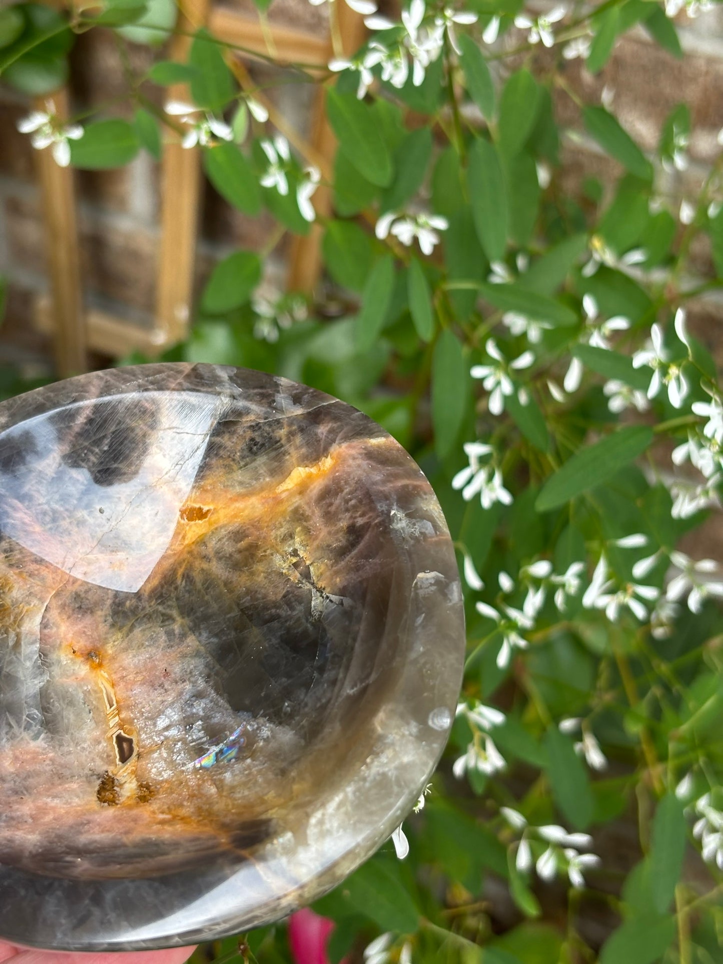Black Moonstone - Bowl