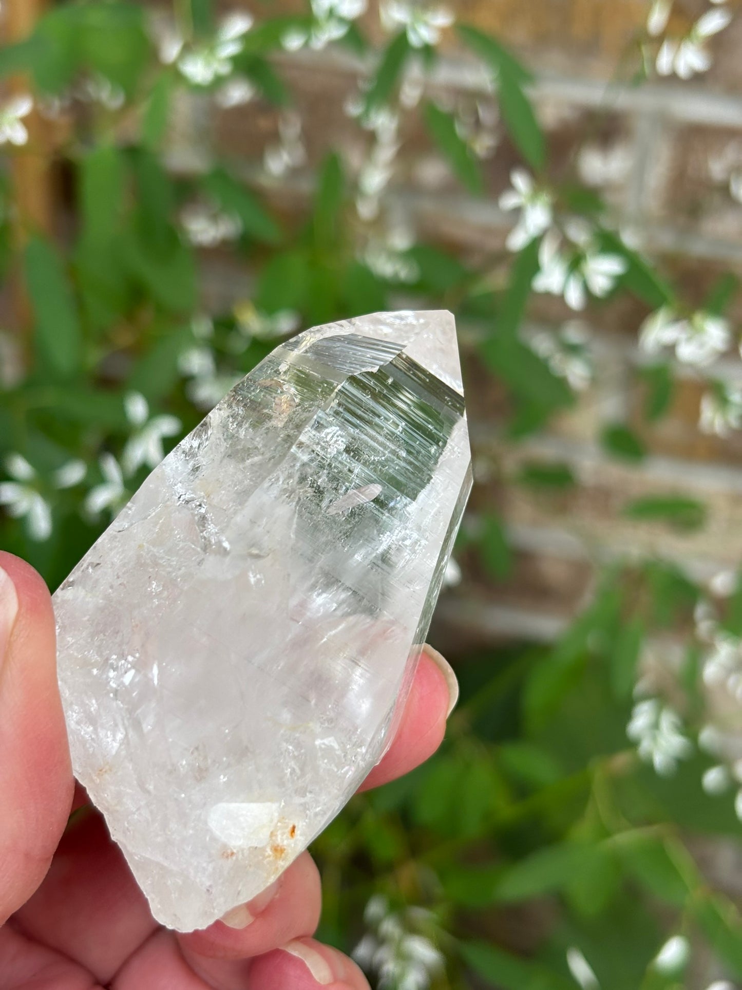 Columbian Lemurian Quartz point