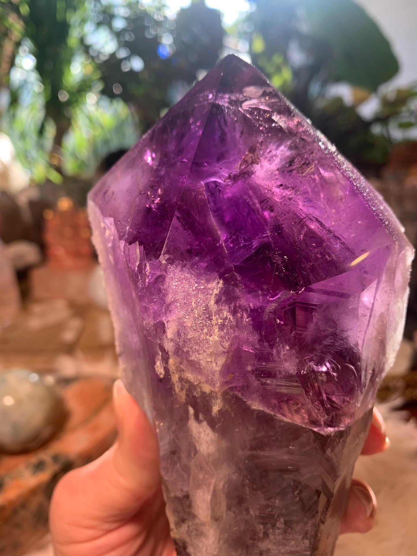 Amethyst Root Point - Bahia Brazil - Phantoms