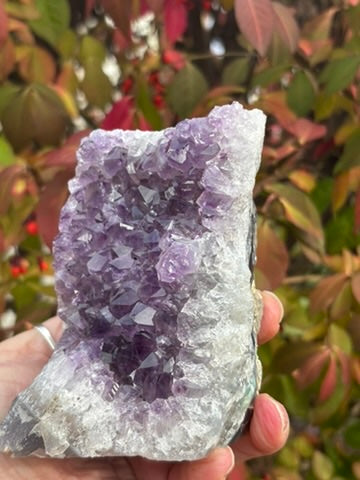 Amethyst Cluster
