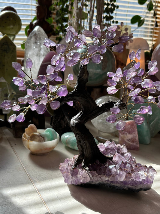 Amethyst Tree on Cluster - Medium - Brazil