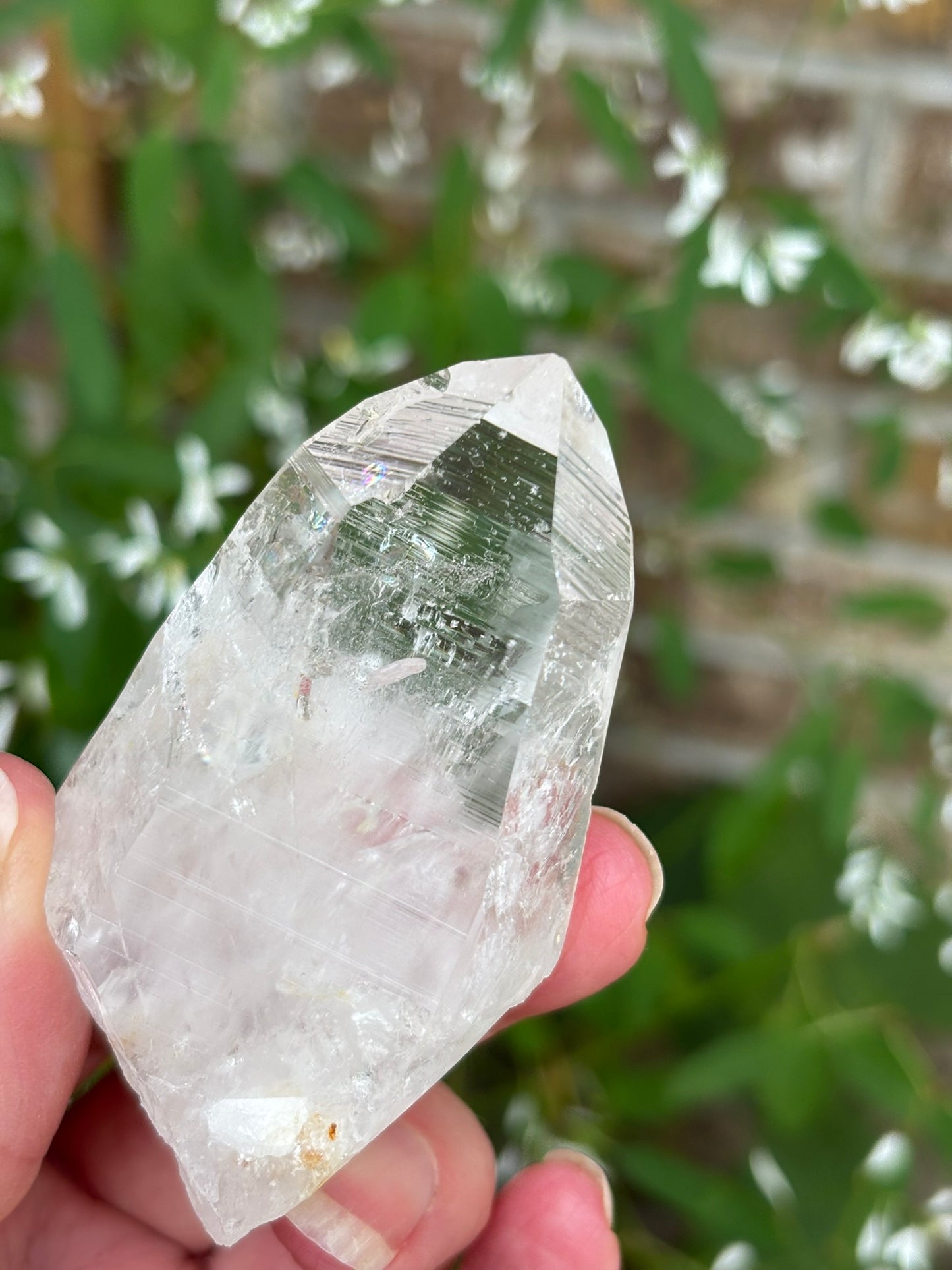 Columbian Lemurian Quartz point