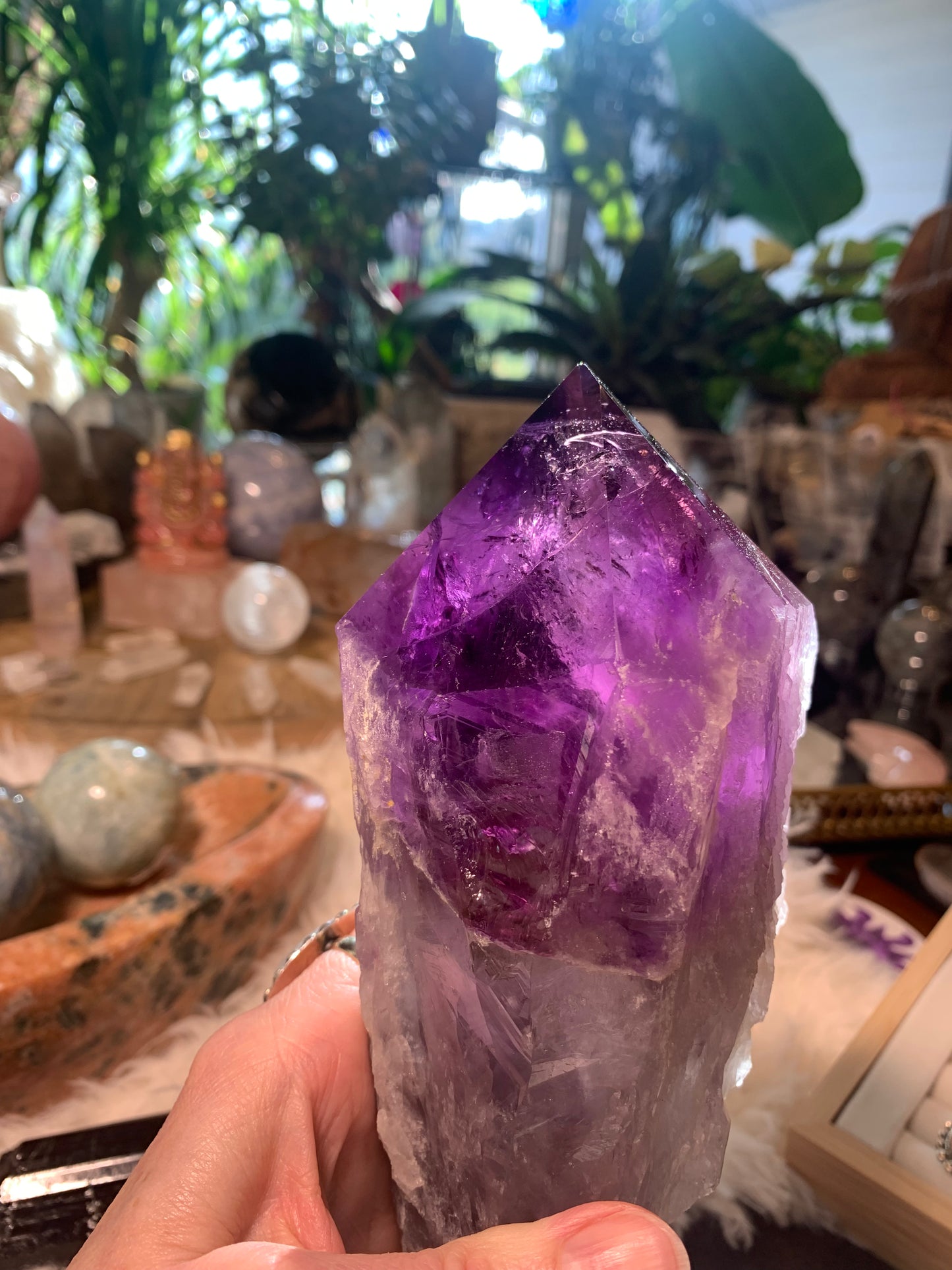 Amethyst Root Point - Bahia Brazil - Phantoms
