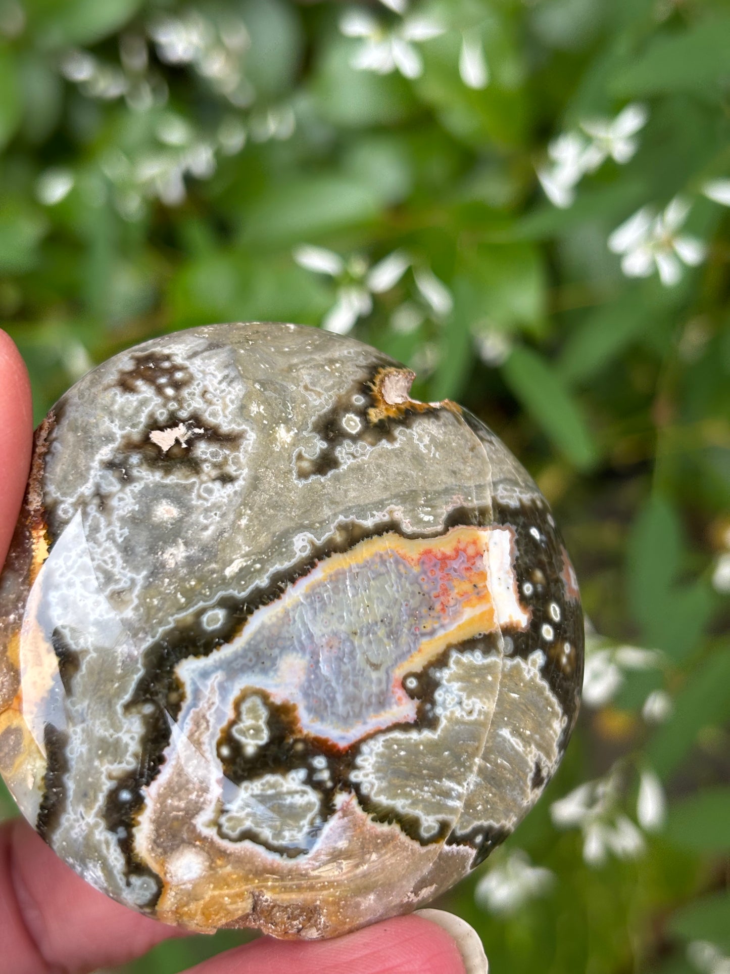 Ocean Jasper - Palm Stone | Madagascar