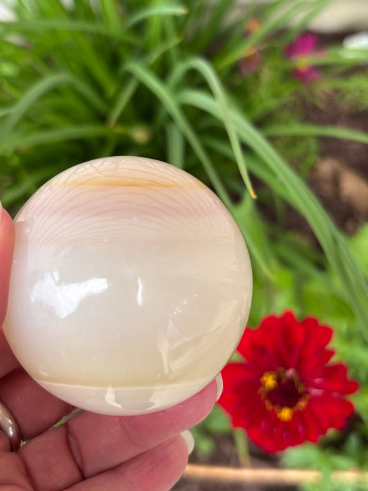Watermelon Calcite - Sphere - Pakistan