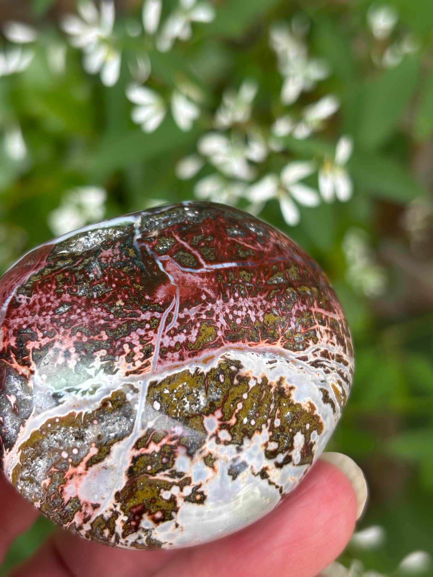Ocean Jasper - Palm Stone | Madagascar