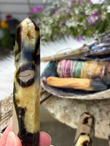 Septarian point | Madagascar