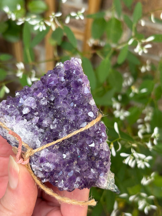 Amethyst Cluster