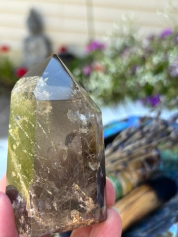 Smokey Quartz with Garden and Rutile