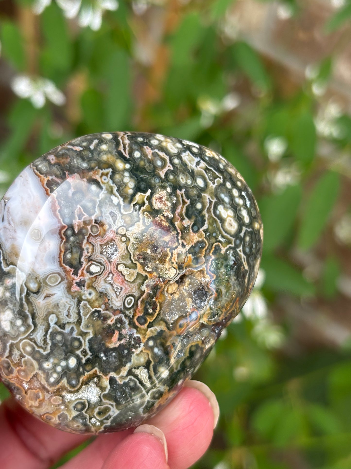 Ocean Jasper - Palm Stone | Madagascar