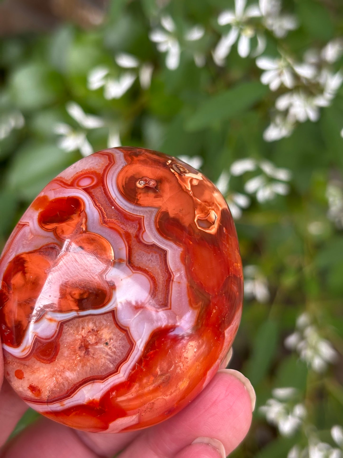 Carnelian - Palm Stone | Madagascar