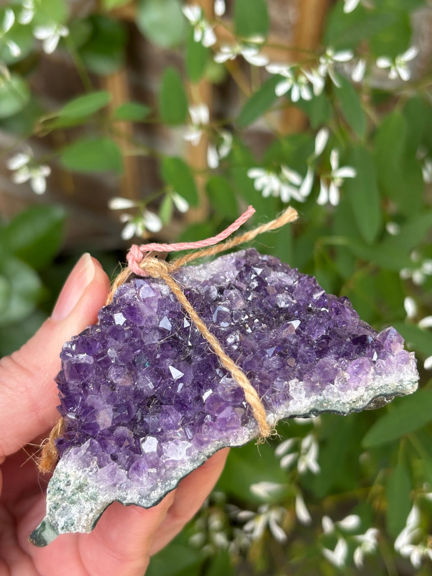 Amethyst Cluster