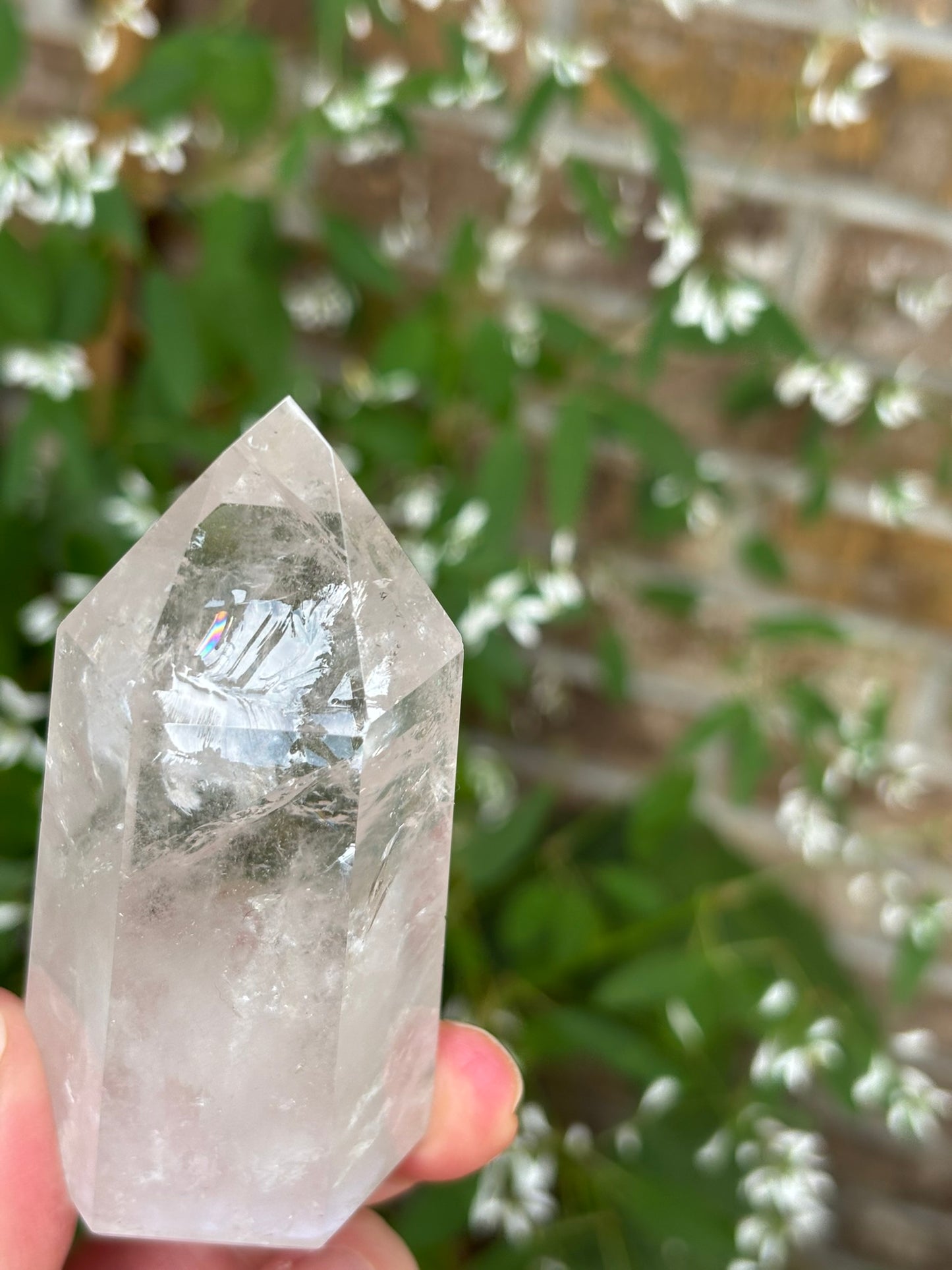 Clear Quartz generator - Brazil