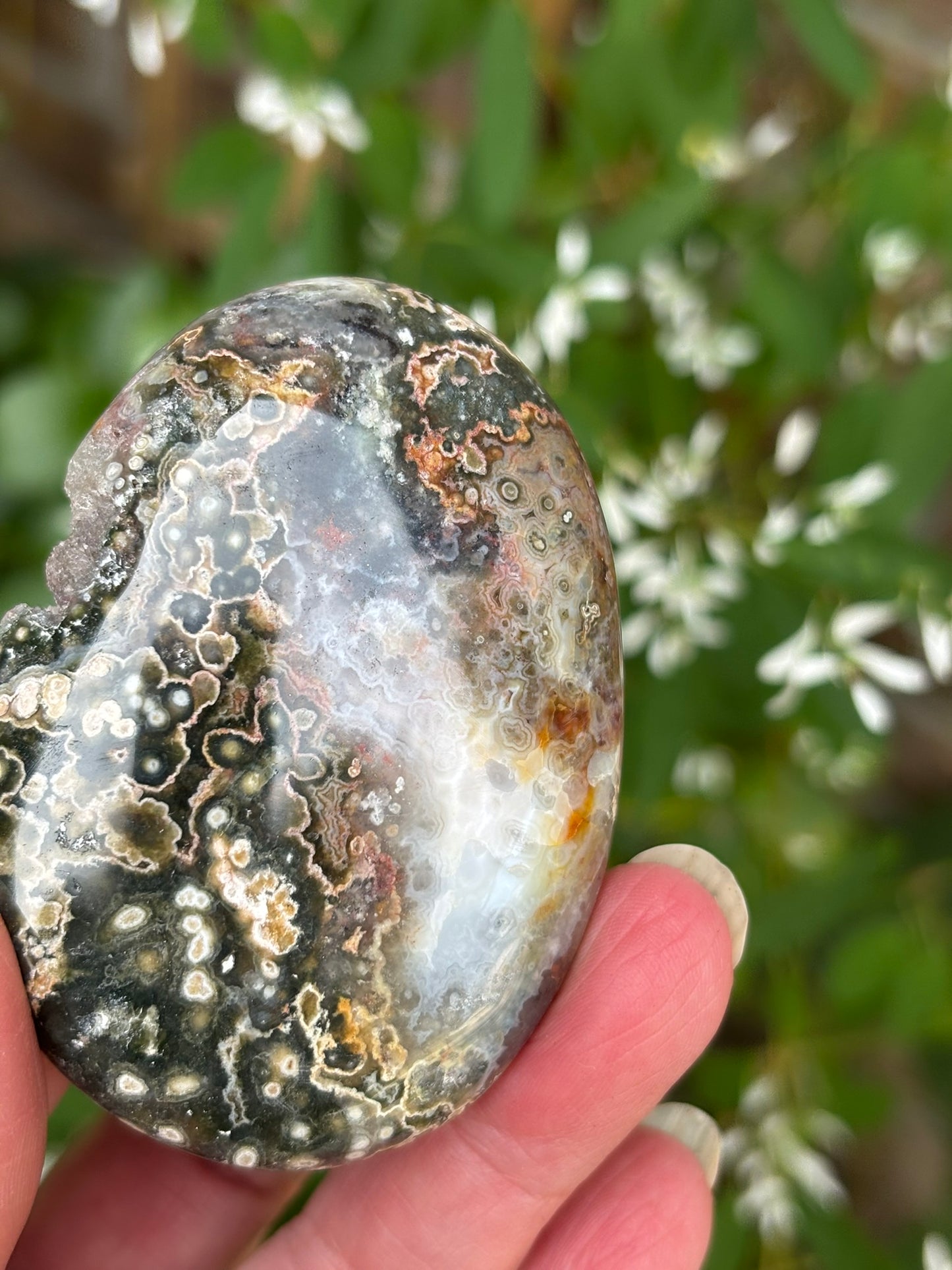 Ocean Jasper - Palm Stone | Madagascar