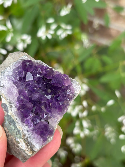 Amethyst Cluster