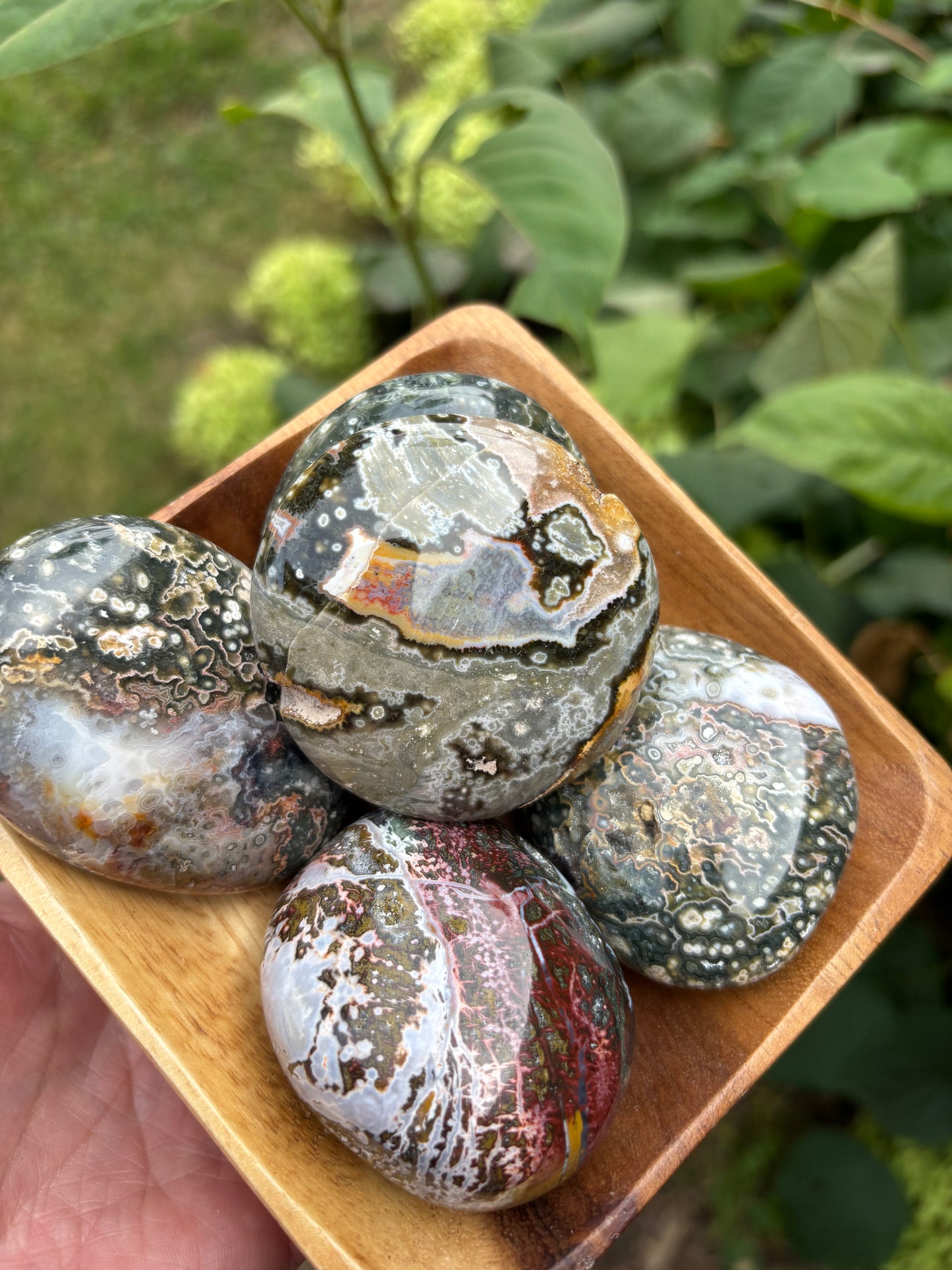 Ocean Jasper - Palm Stone | Madagascar