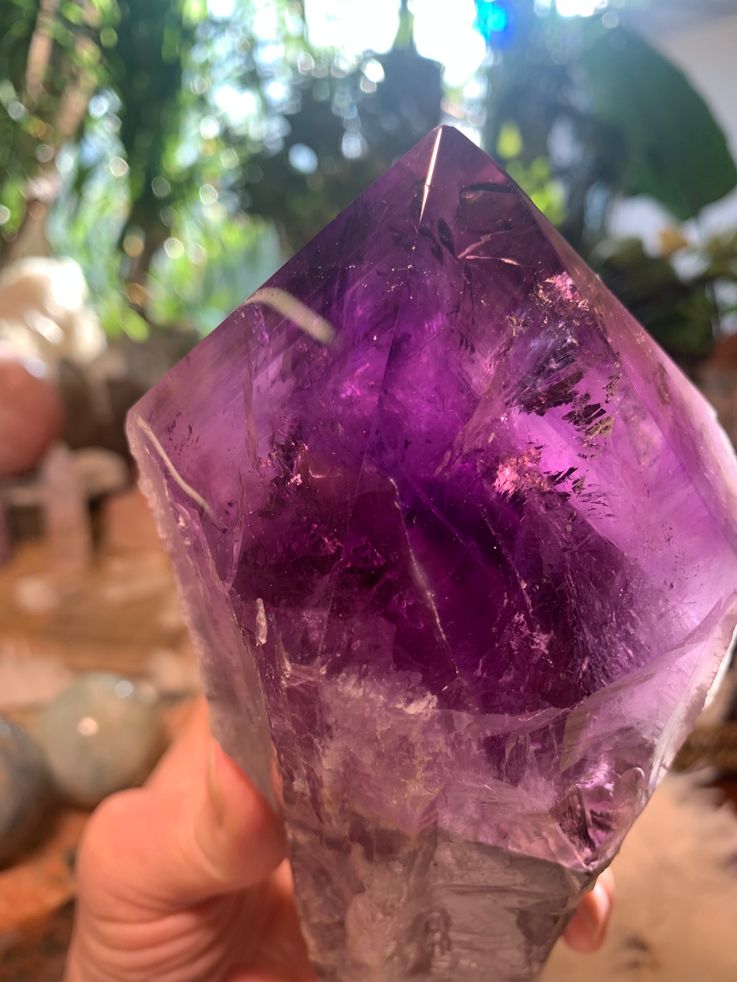 Amethyst Root Point - Bahia Brazil - Phantoms