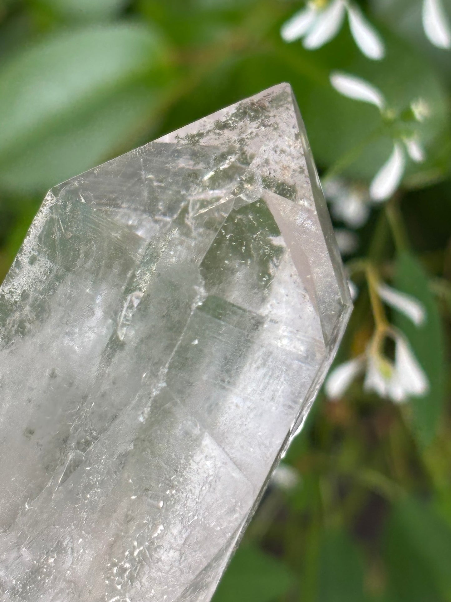 Lemurian Quartz Point - Chlorite - Twin with Key