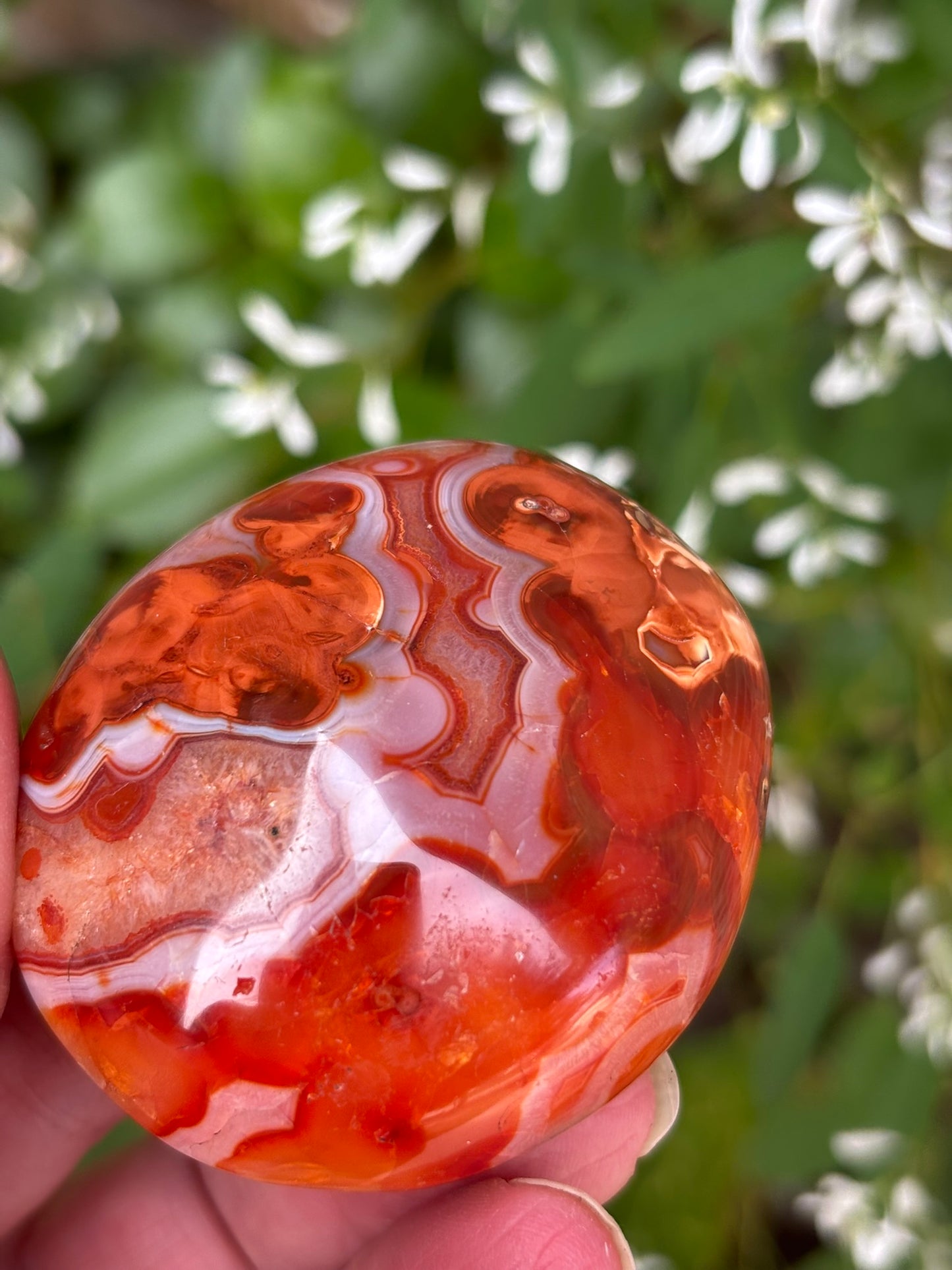 Carnelian - Palm Stone | Madagascar