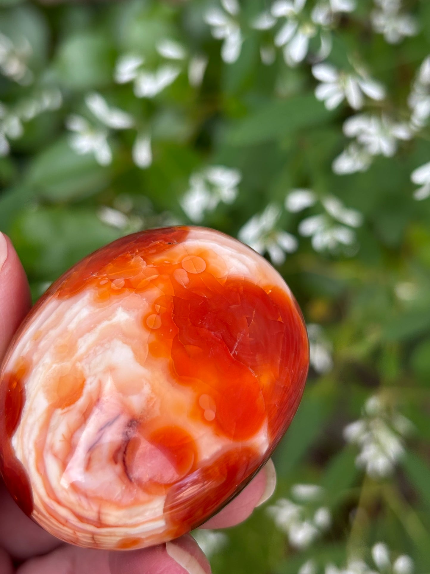 Carnelian - Palm Stone | Madagascar