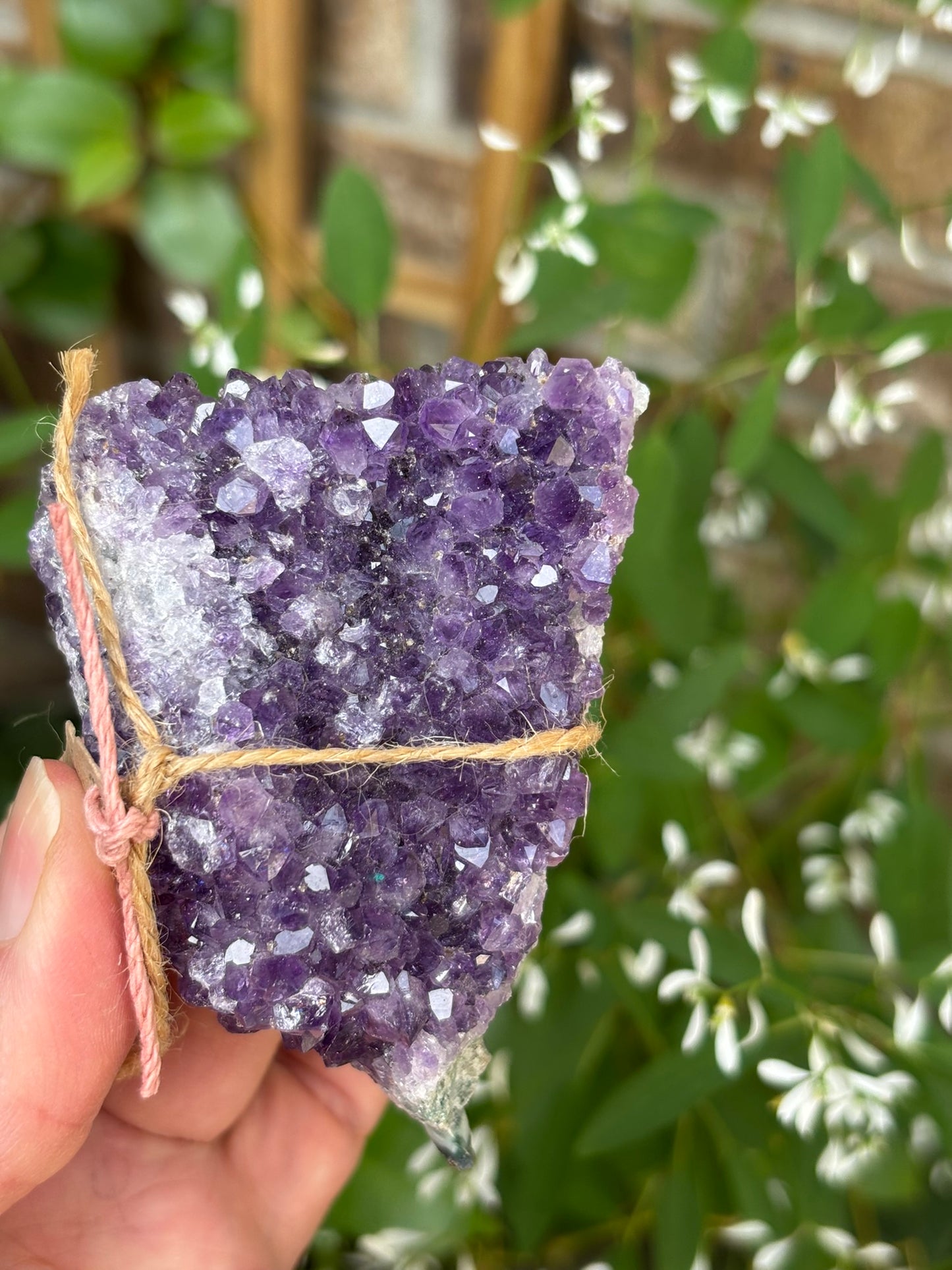 Amethyst Cluster