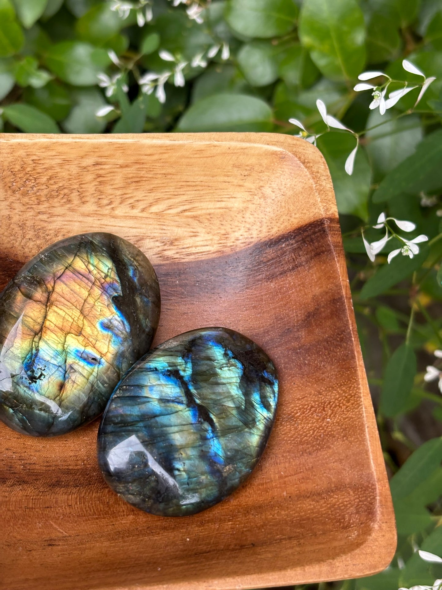 Labradorite - Palm Stone | Madagascar