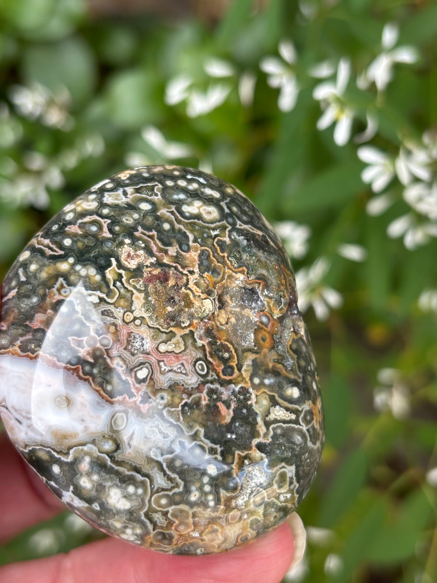 Ocean Jasper - Palm Stone | Madagascar