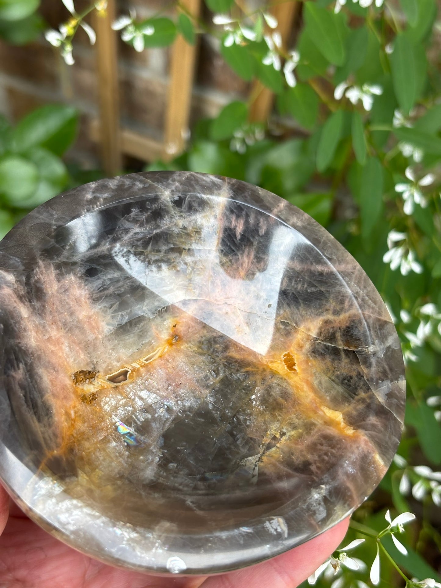 Black Moonstone - Bowl