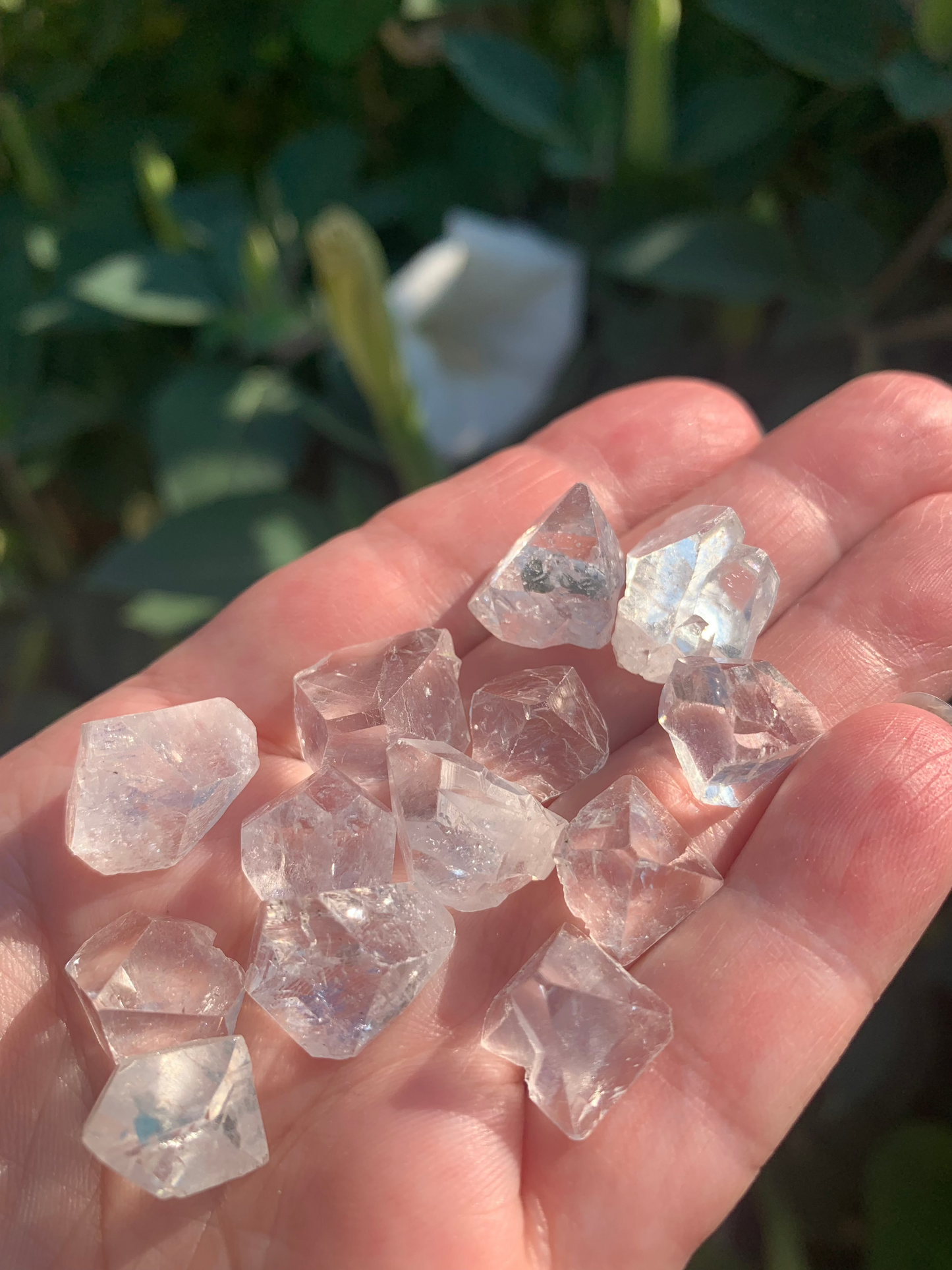 Apophyllite Points Zeolite SMALL | Bundle of 4
