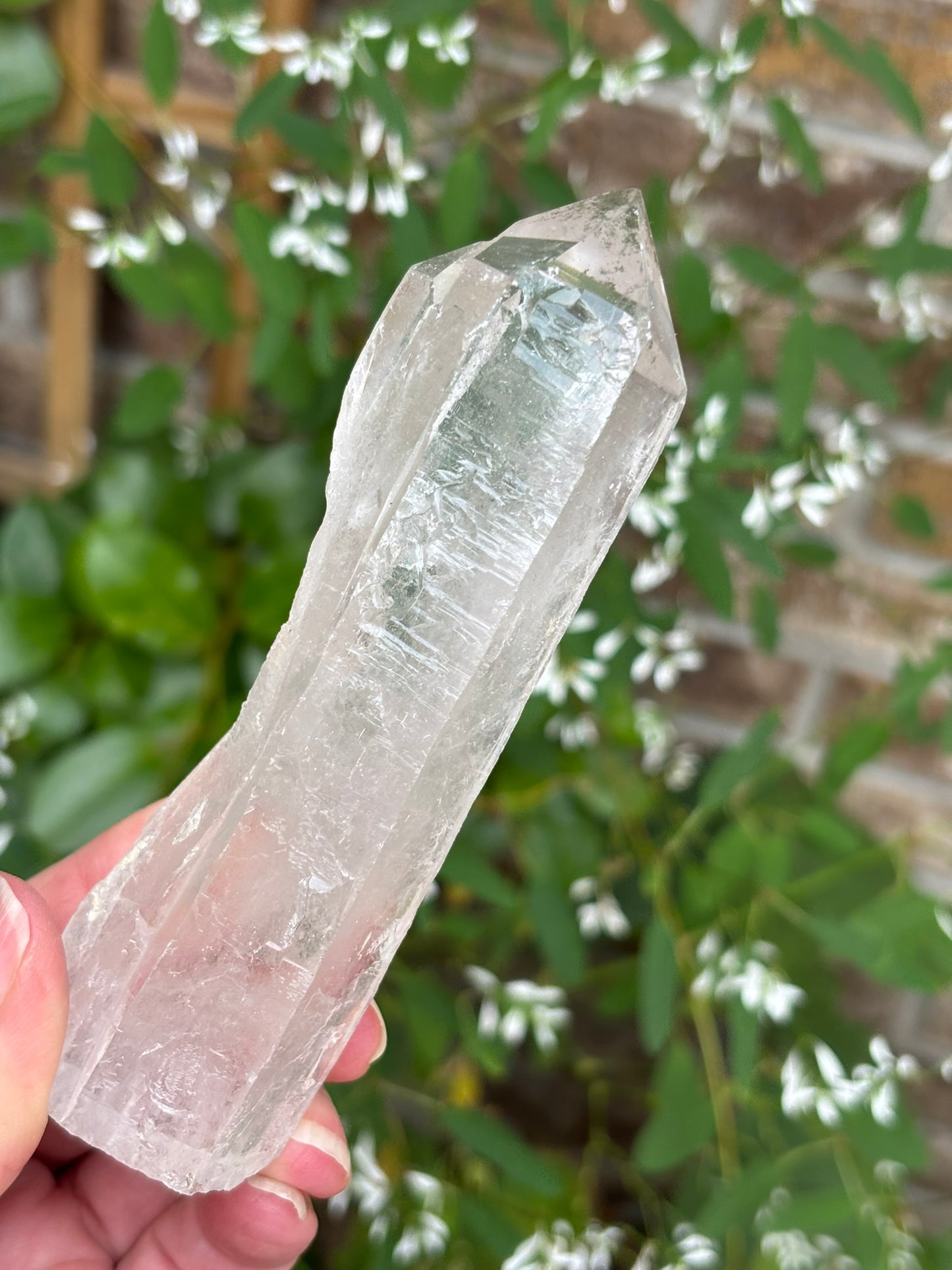 Lemurian Quartz Point - Chlorite - Twin with Key