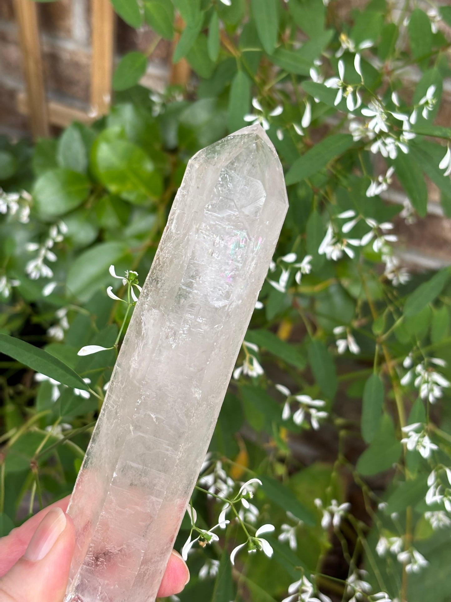 Lemurian Quartz Point - Rainbows