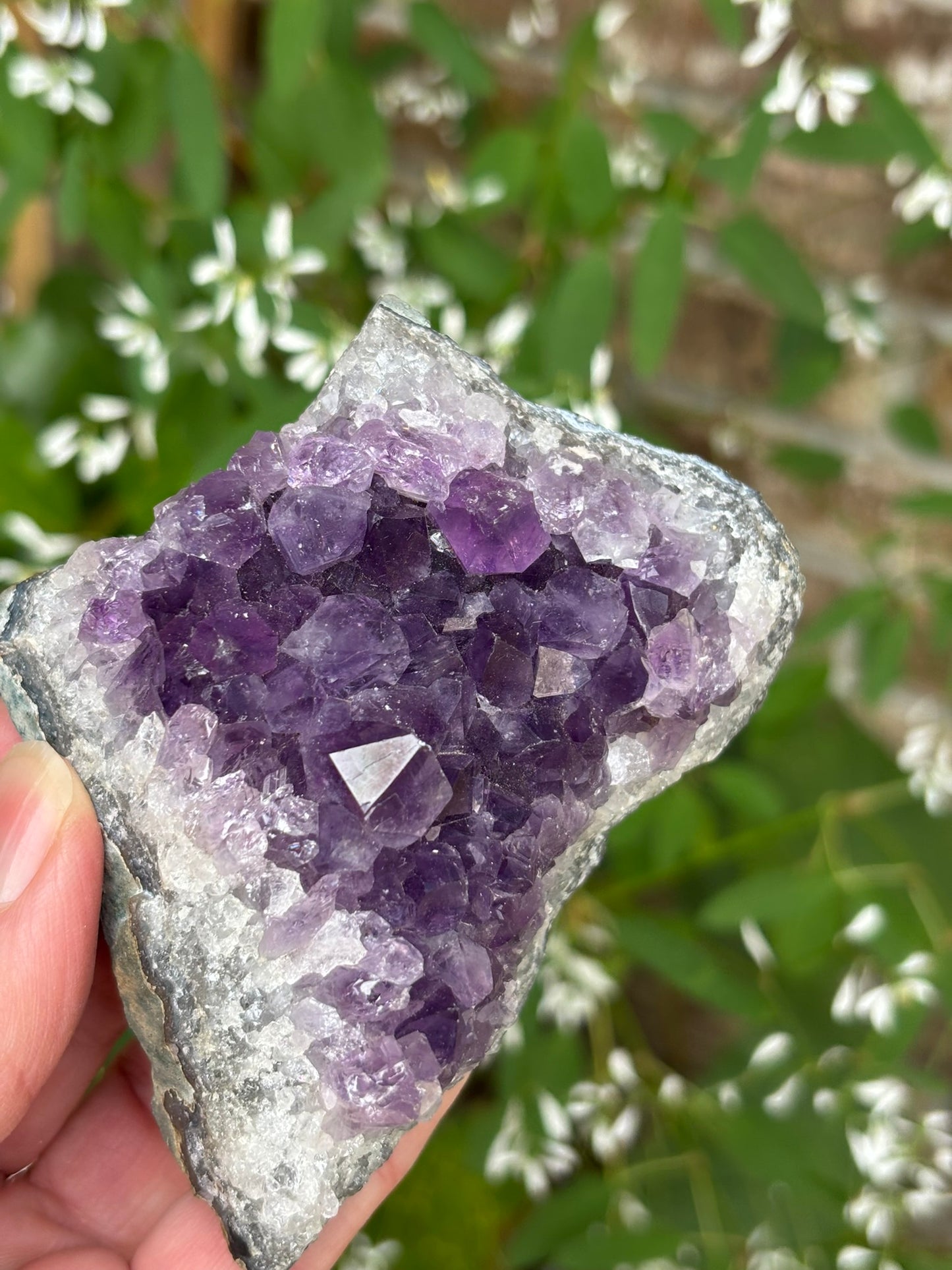 Amethyst Cluster