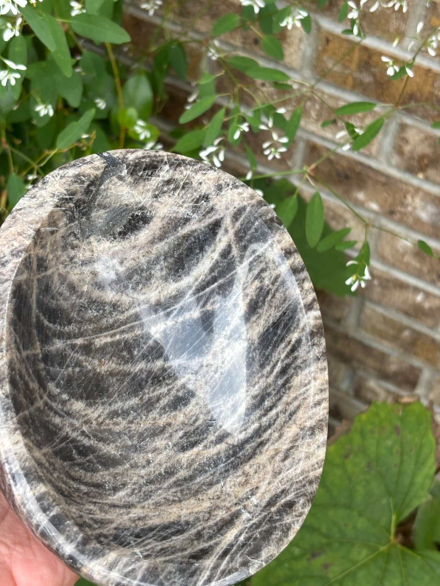 Black Moonstone - Bowl