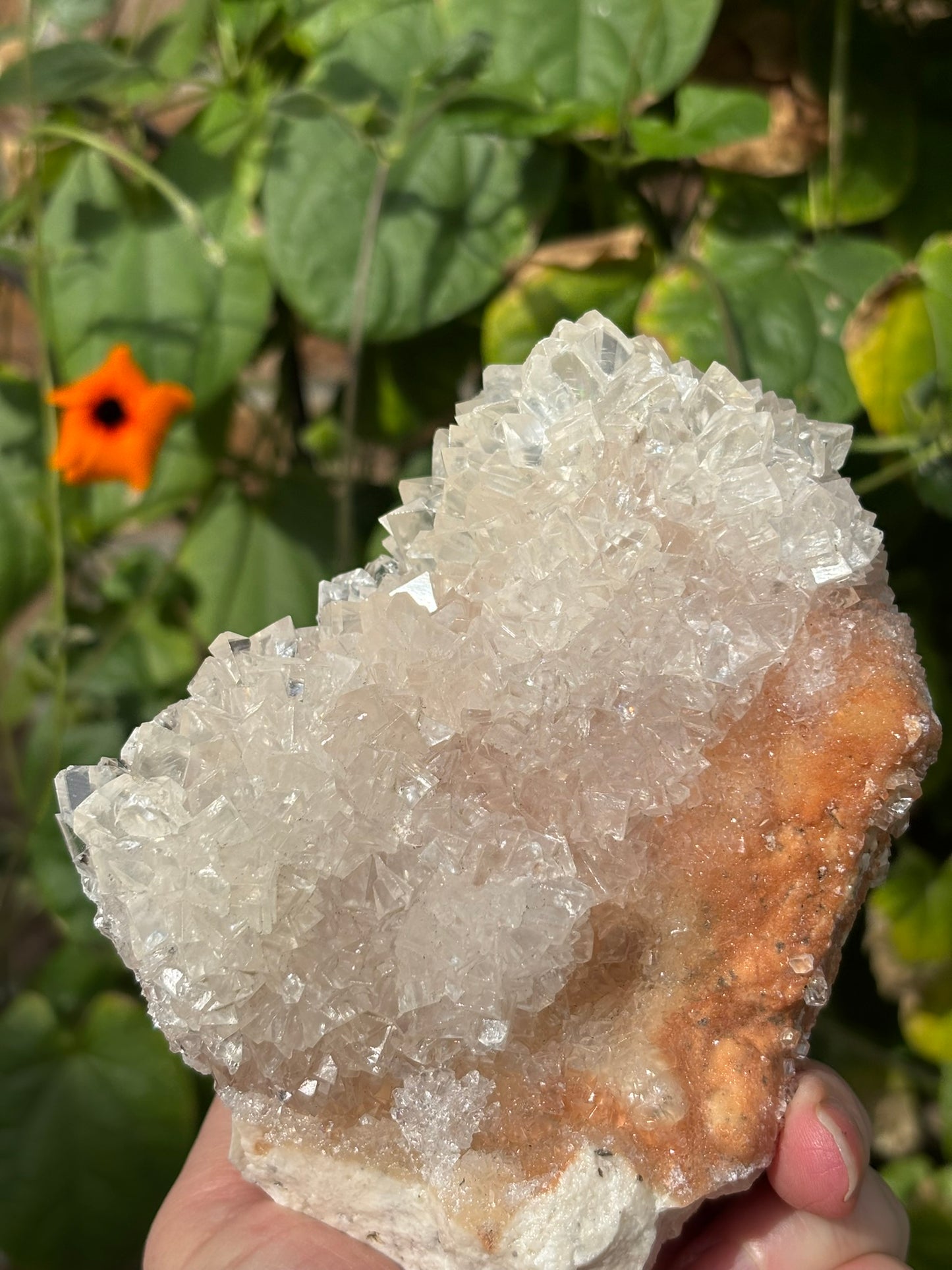 UV Druzy Calcite Cluster - Indonesia