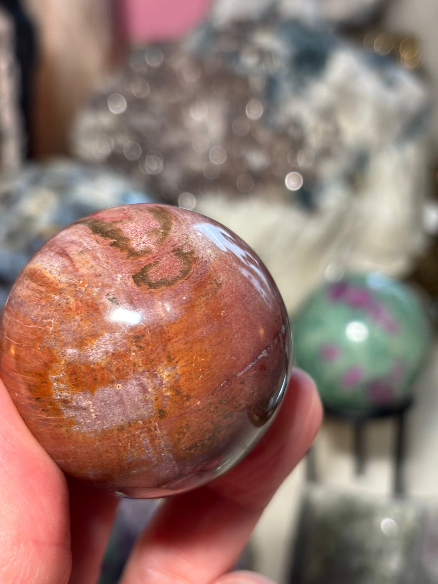Petrified Wood Sphere - Madagascar