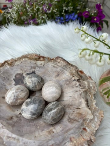 Microline Moonstone Palm Stone | Madagascar