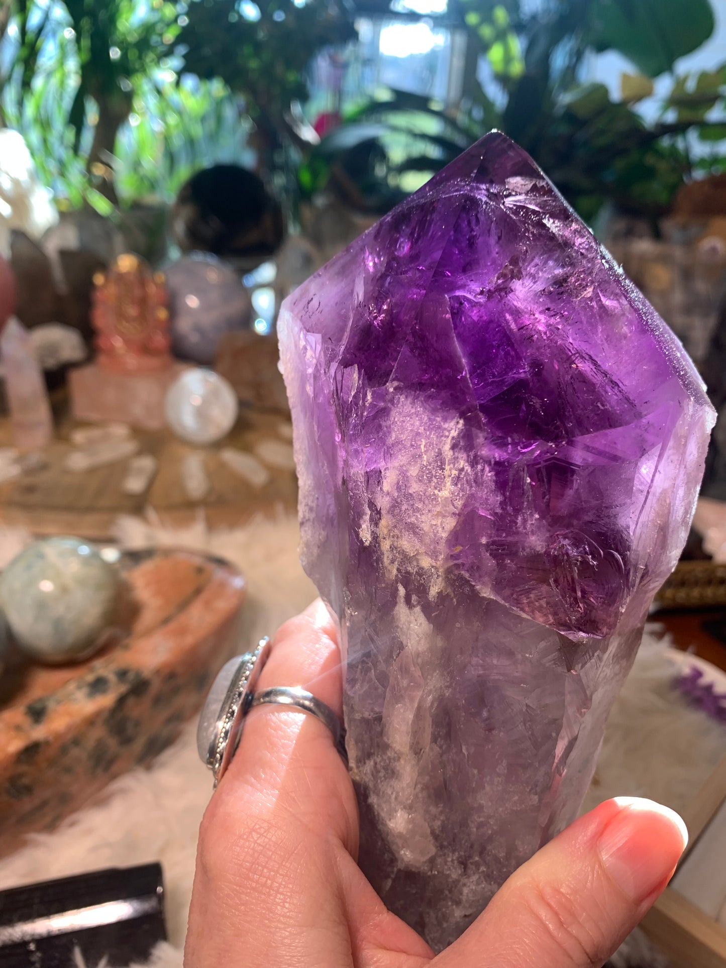 Amethyst Root Point - Bahia Brazil - Phantoms
