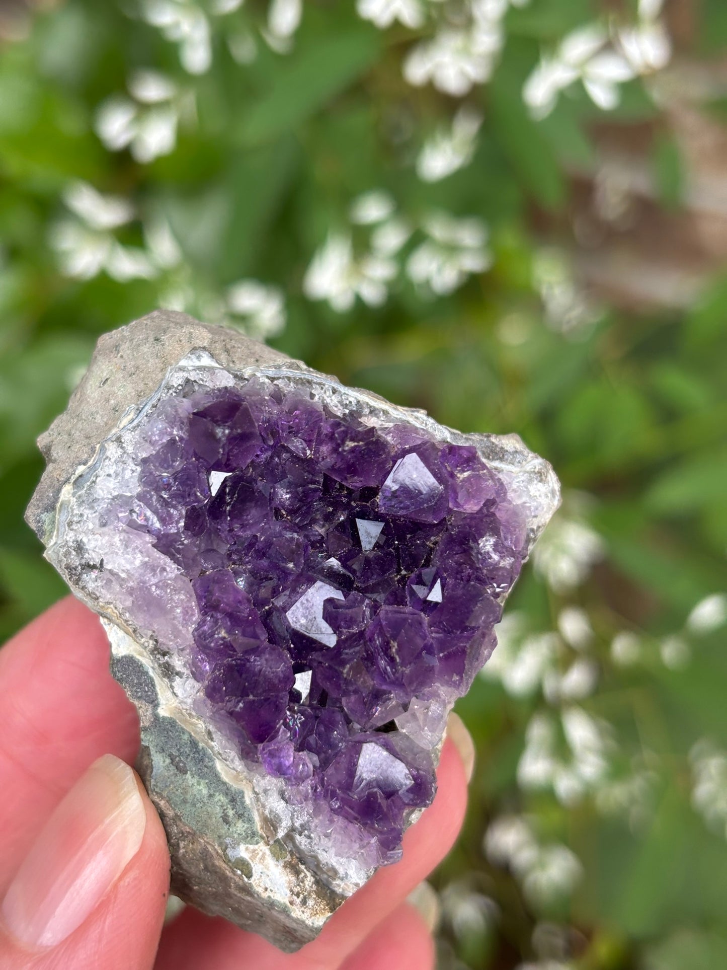 Amethyst Cluster