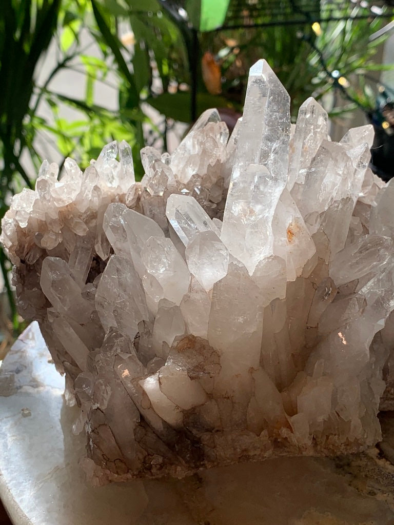 Lemurian Quartz Cluster