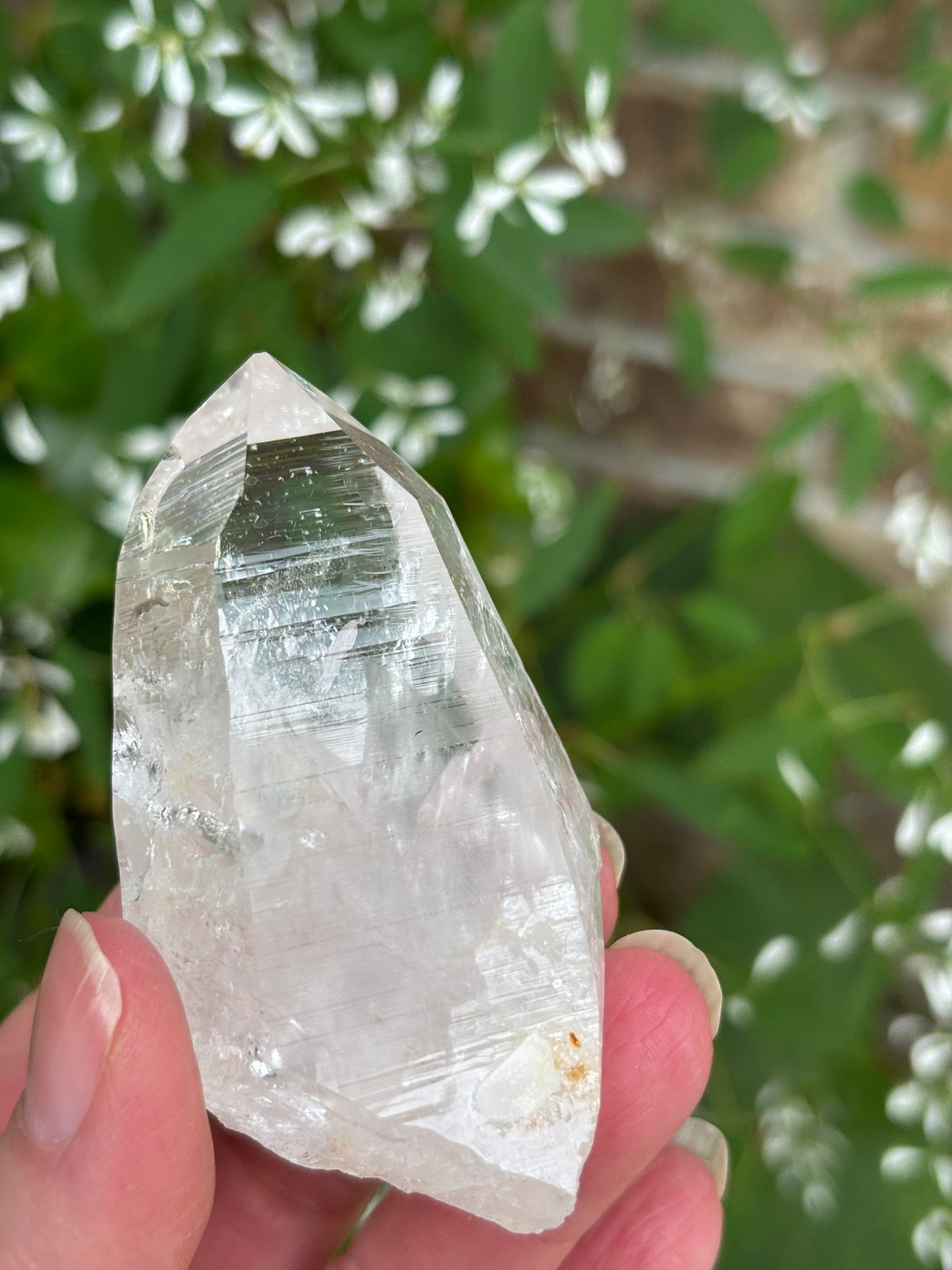 Columbian Lemurian Quartz point