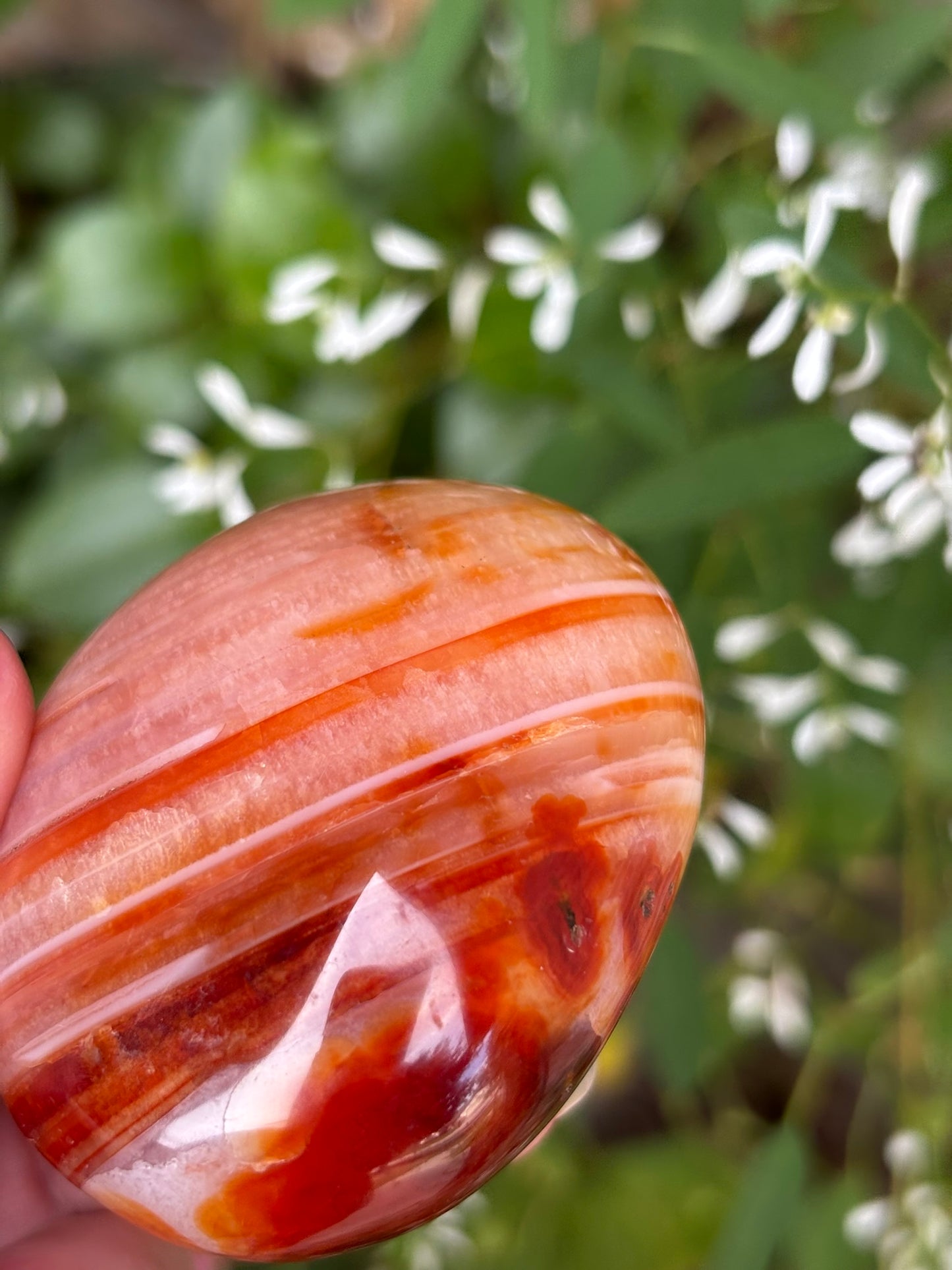 Carnelian - Palm Stone | Madagascar
